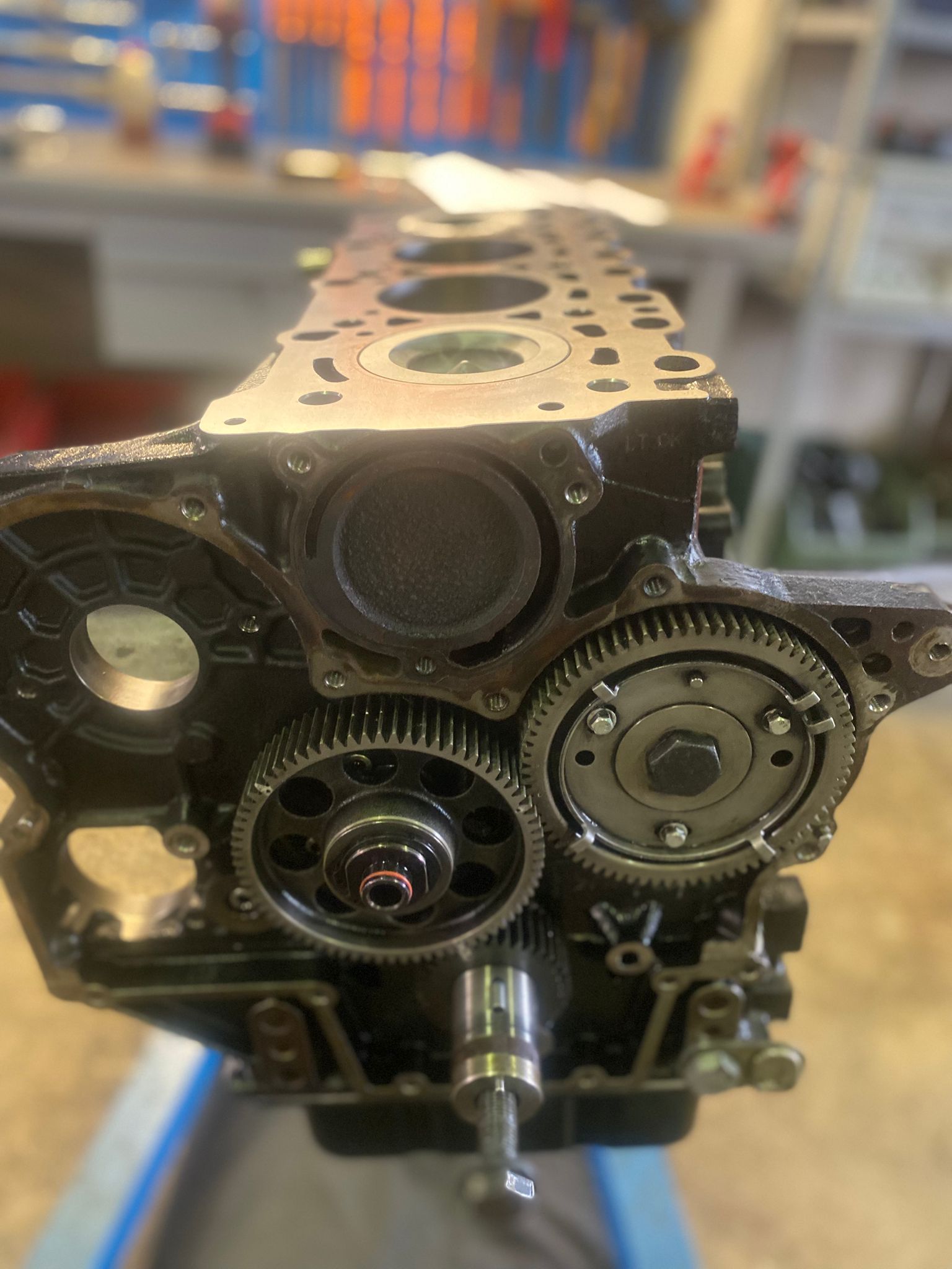 ingranaggi distribuzione motore vista frontale